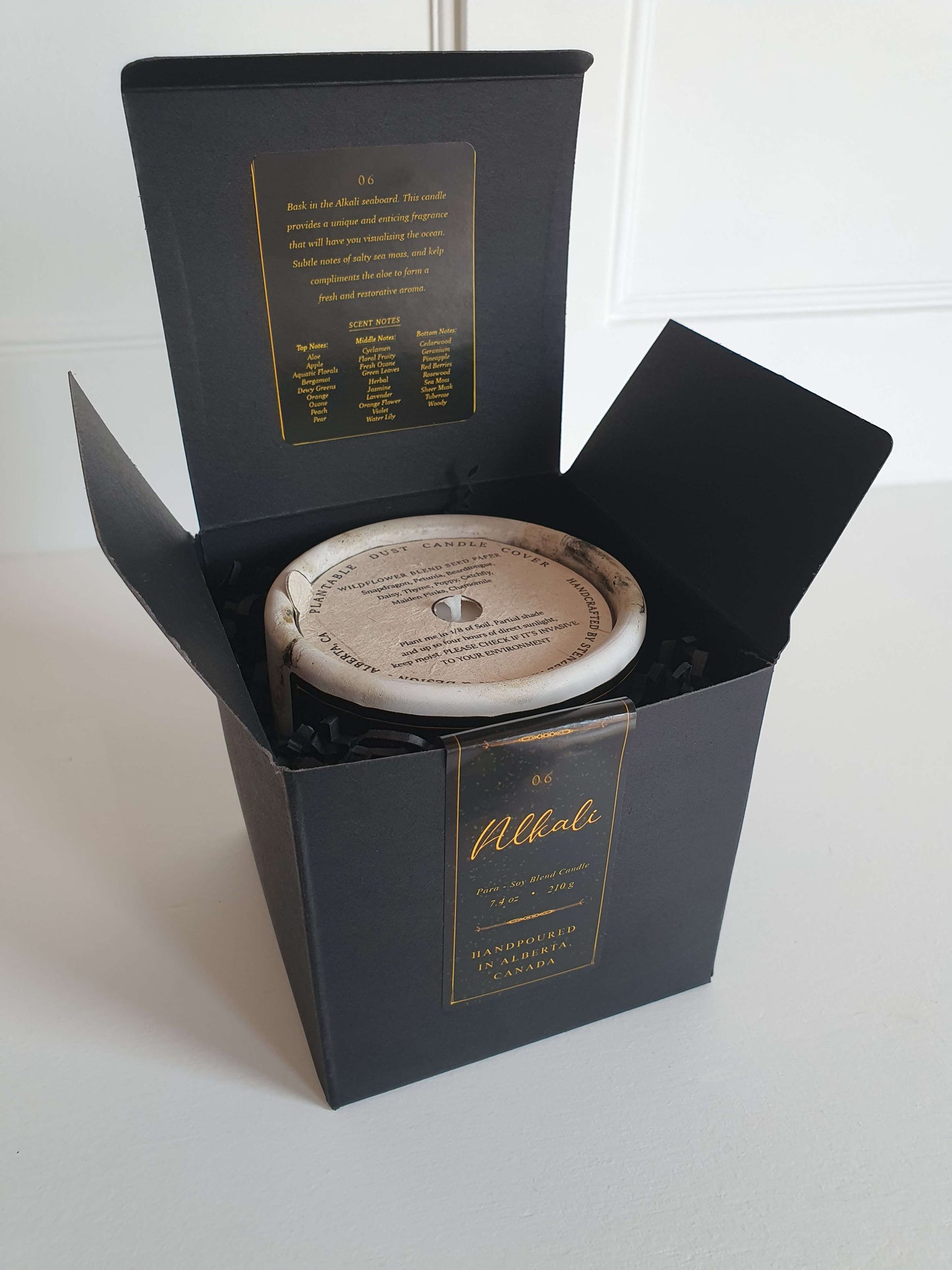 06 Alkali 3" Concrete Candle