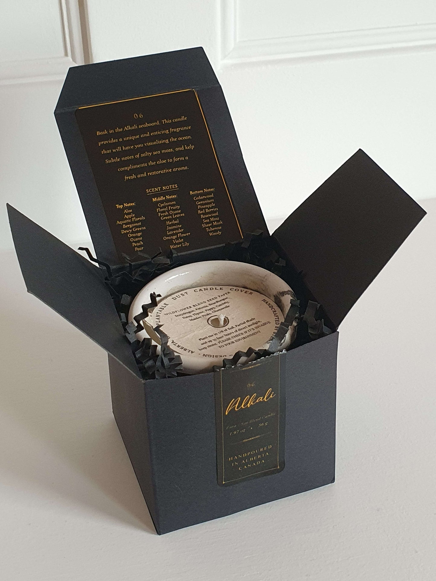06 Alkali 2" Concrete Candle