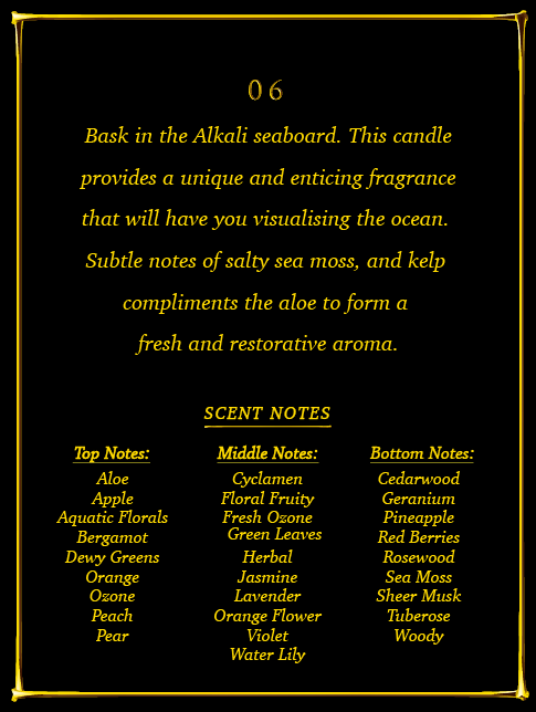 06 Alkali 2" Concrete Candle